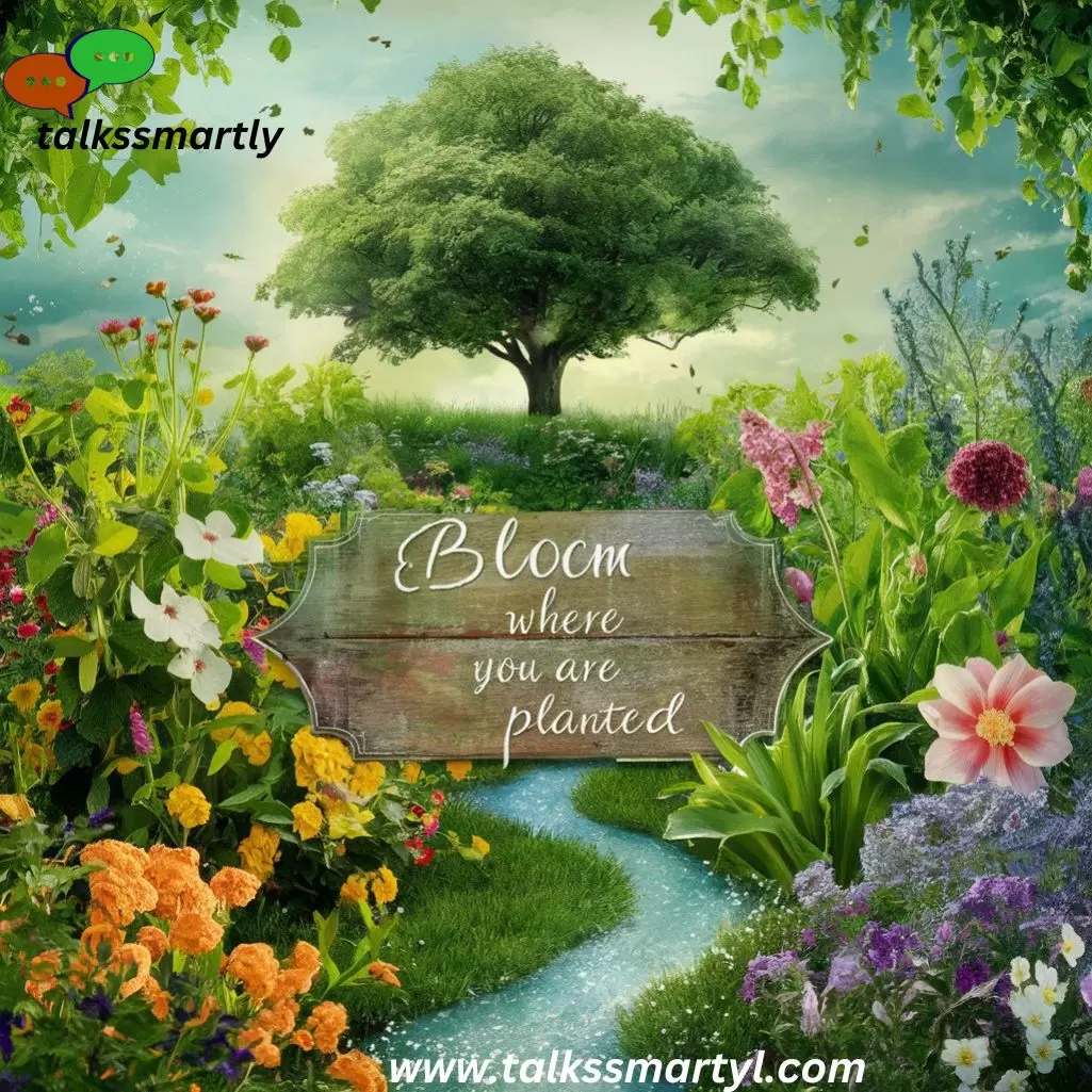 "Bloom where you are planted."