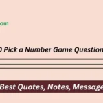 Pick a Number Game Questions