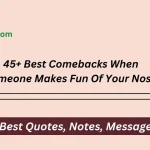 Best Comebacks When Someone Makes Fun Of Your Nose