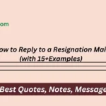 How to Reply to a Resignation Mail (with fifteen+Examples)