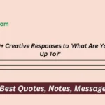 Creative Responses to 'What Are You Up To?'