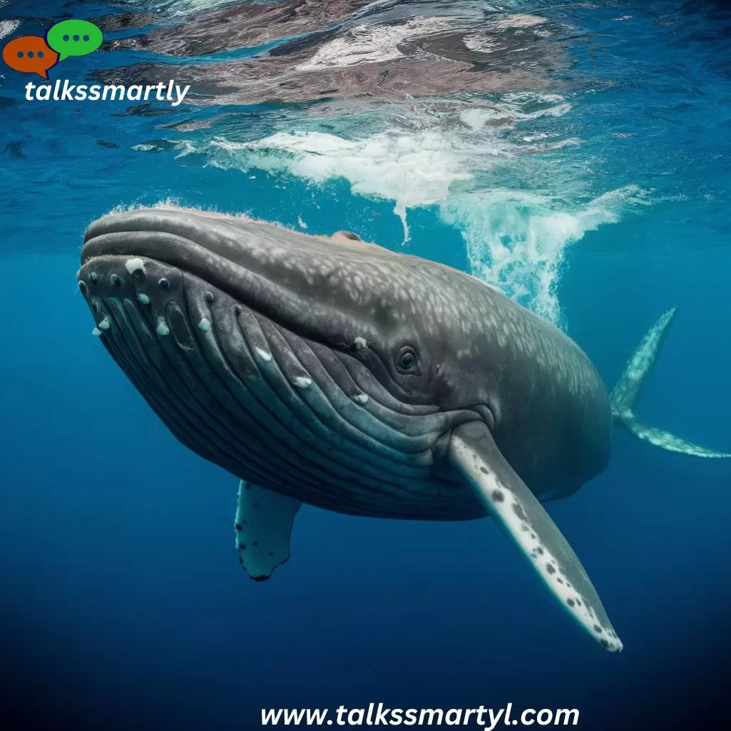 The heart of a blue whale is as large as a small car.