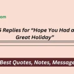 Replies for “Hope You Had a Great Holiday”