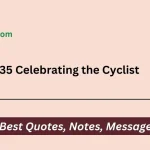 Celebrating the Cyclist