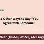 Other Ways to Say "You Agree with Someone"